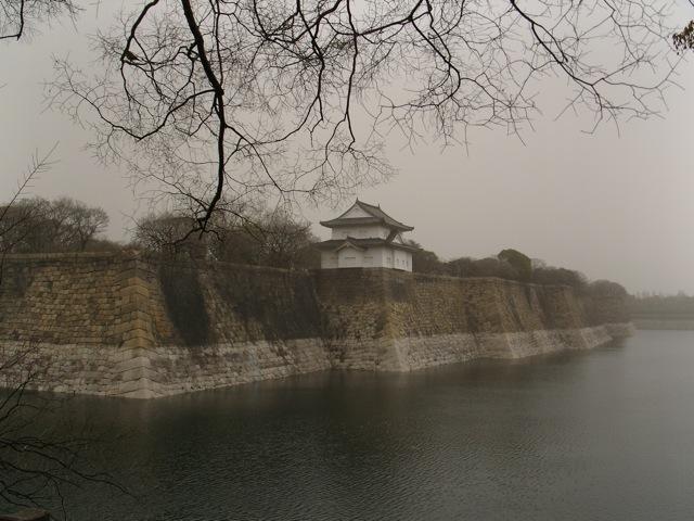 SNV11111.jpg